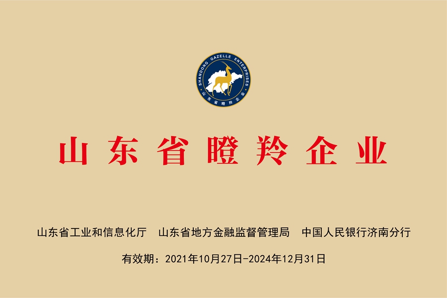 国网中电公司：山东省瞪羚企业